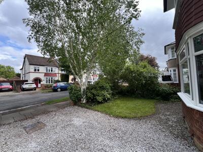 Picture 29